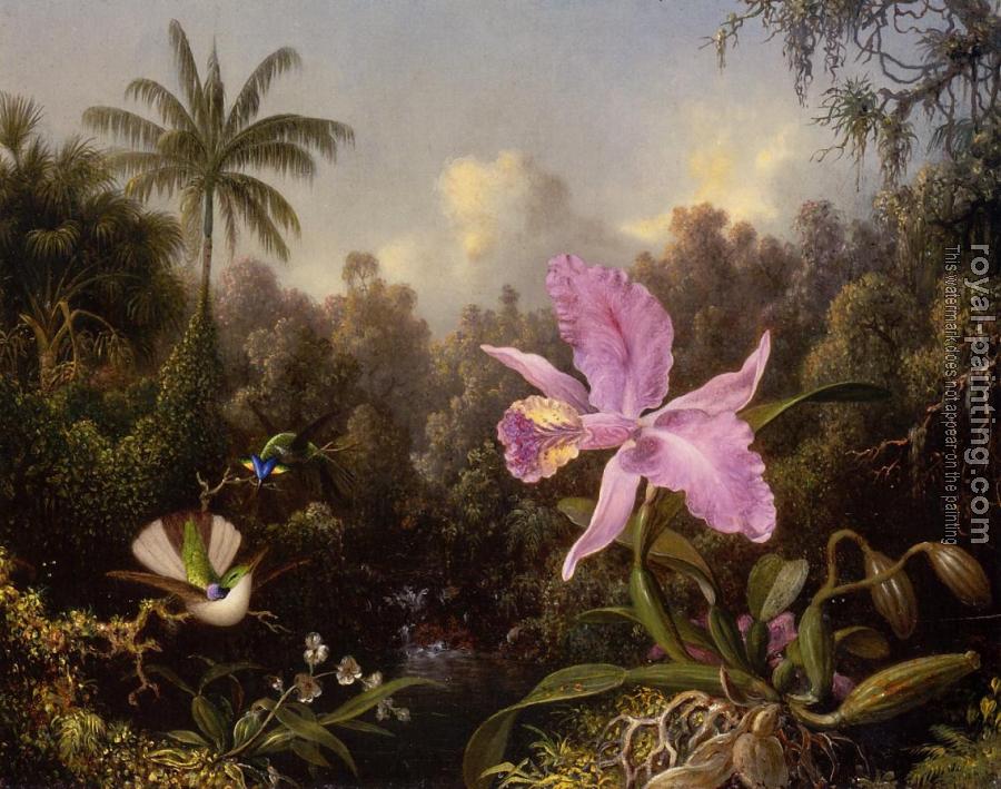 Martin Johnson Heade : Orchid and Two Hummingbirds II